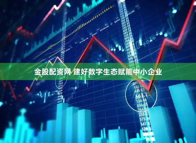 金股配资网 建好数字生态赋能中小企业